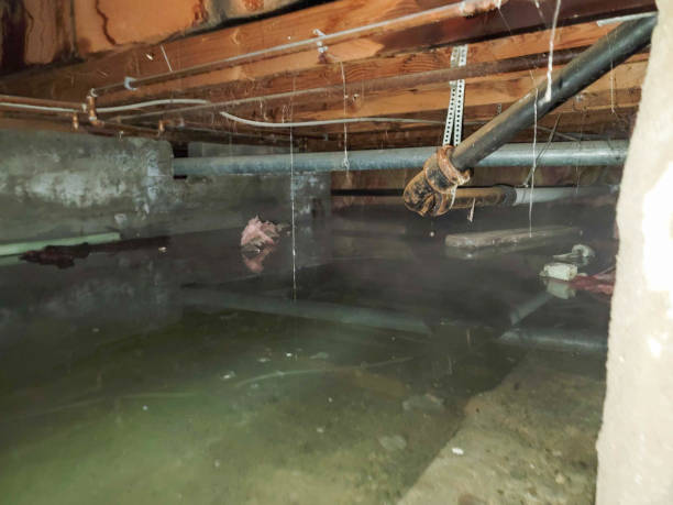 Best Emergency water extraction  in Vallejo, CA
