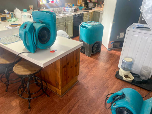 Best Fire Damage Restoration  in Vallejo, CA
