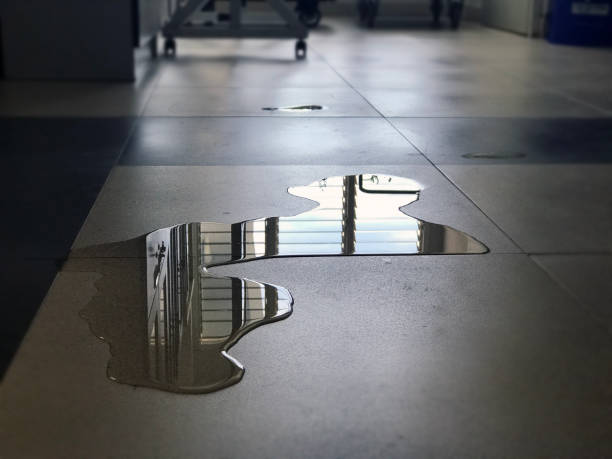Best Flood restoration services  in Vallejo, CA