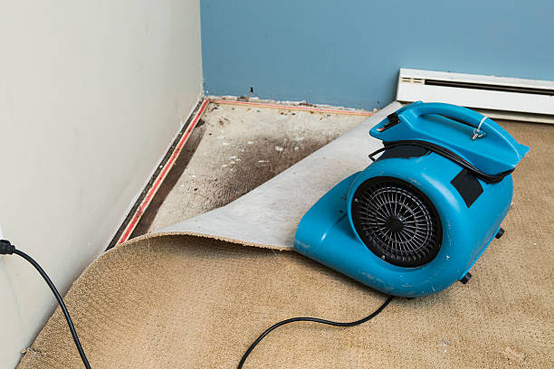 Best Water damage contractors near me  in Vallejo, CA